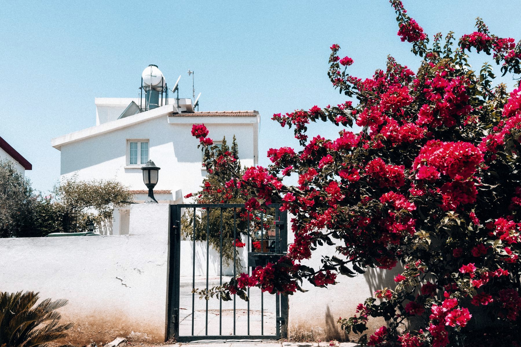 Inheritance and Estate Planning in Northern Cyprus: Legal Guide for Foreign Property Owners